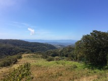 Réserve Curicancha - Monteverde - Costa Rica