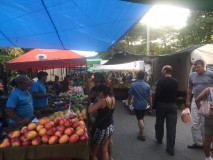 Quepos- Costa Rica