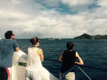 Trip plongée - Saba